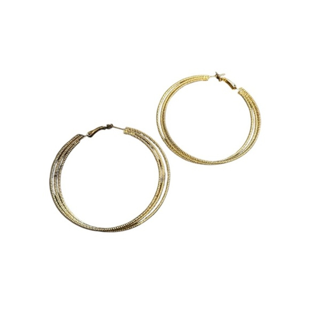 Elegant Gold Hoop Earrings